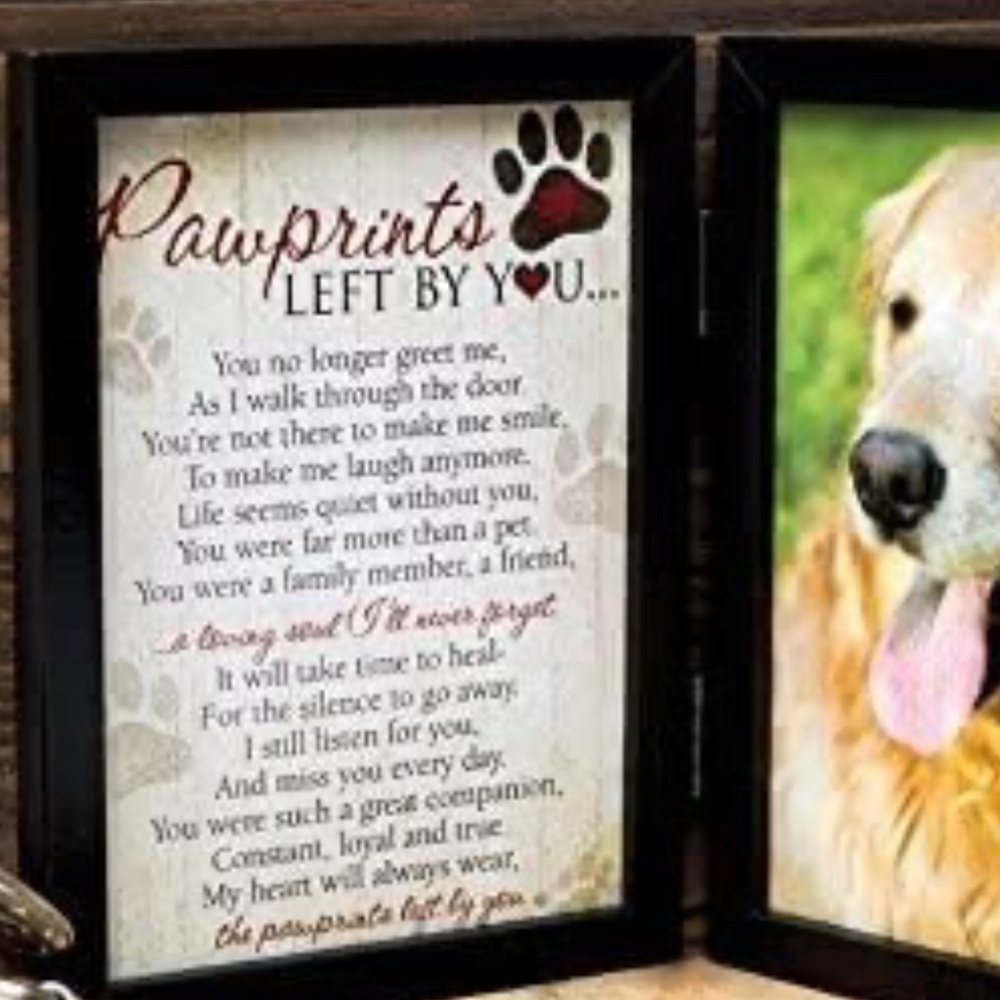 Pet Memorial 5"x7" Picture Frame for Dog or Cat with Ribbon
